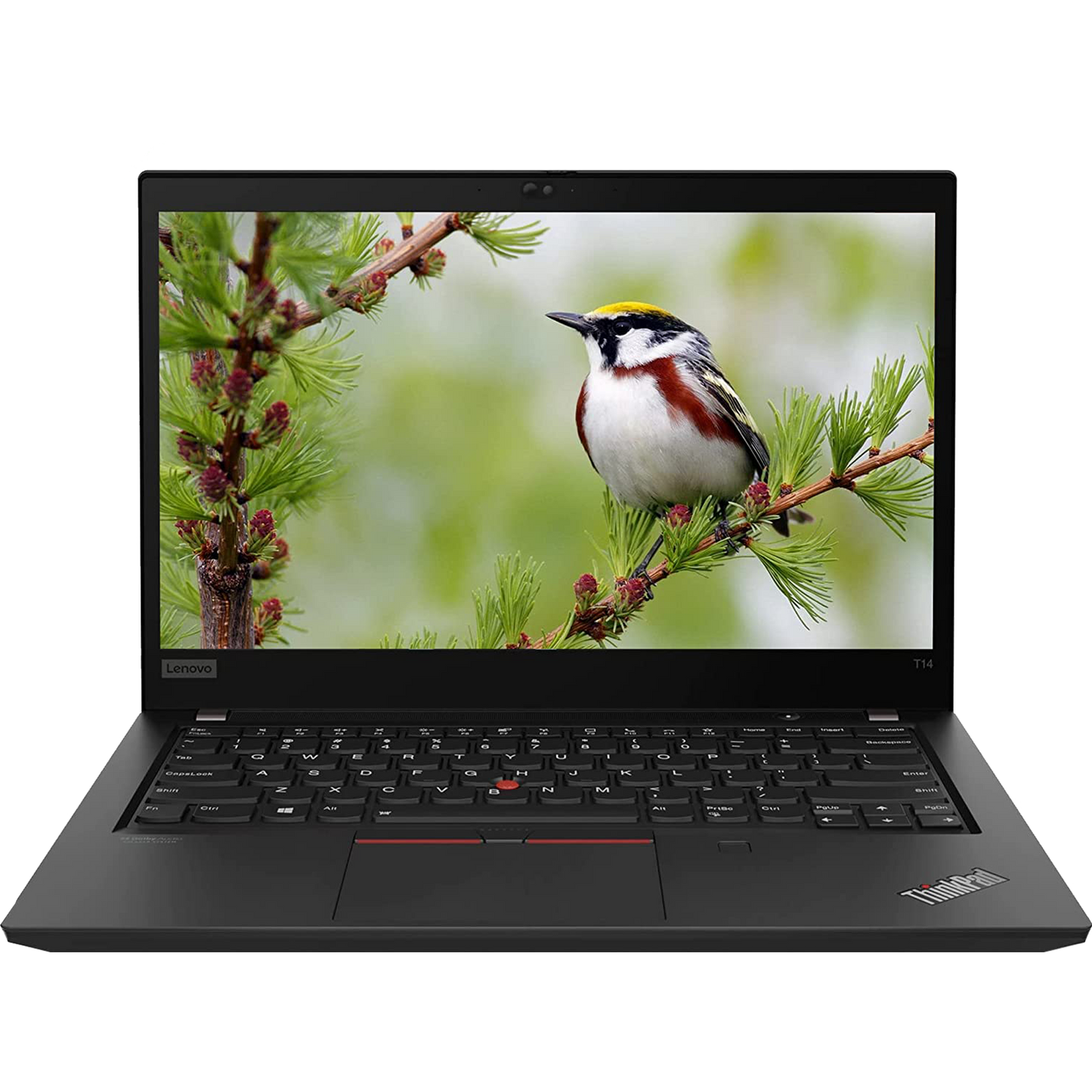 Lenovo ThinkPad T14 Intel i5, 10th Gen Laptop with 16GB Ram