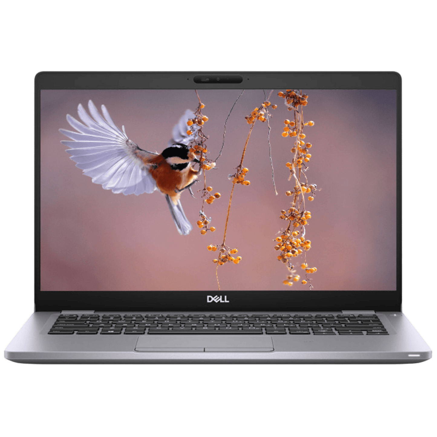 Dell Laptops - Refurbished Dell Latitude 5310 Intel i5, 10th Gen Laptop with 16GB Ram + 2 Year Warranty